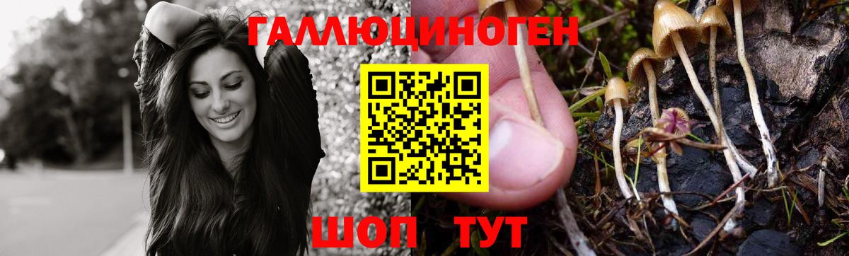 Ивантеевка  Галлюциногенные грибы GOLDEN TEACHER  Псилоцибиновые грибы Cubensis  Вход с VPN 